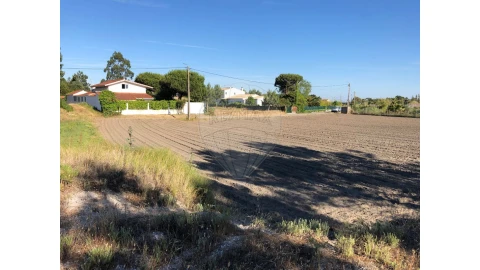 Terreno para Venda em Ovar, São João, Arada e São Vicente de Pereira Jusã