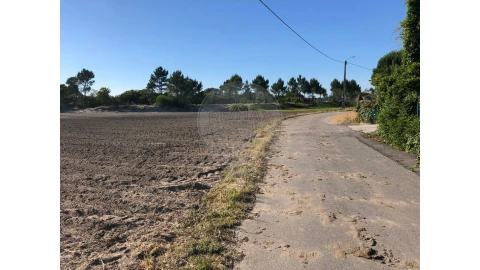 Terreno para Venda em Ovar, São João, Arada e São Vicente de Pereira Jusã