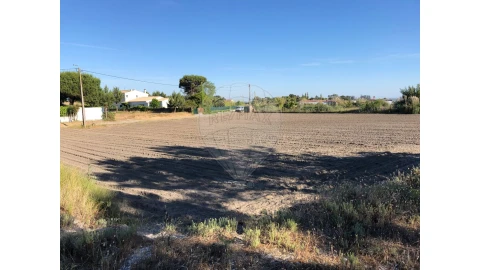 Terreno para Venda em Ovar, São João, Arada e São Vicente de Pereira Jusã