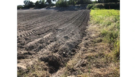 Terreno para Venda em Ovar, São João, Arada e São Vicente de Pereira Jusã