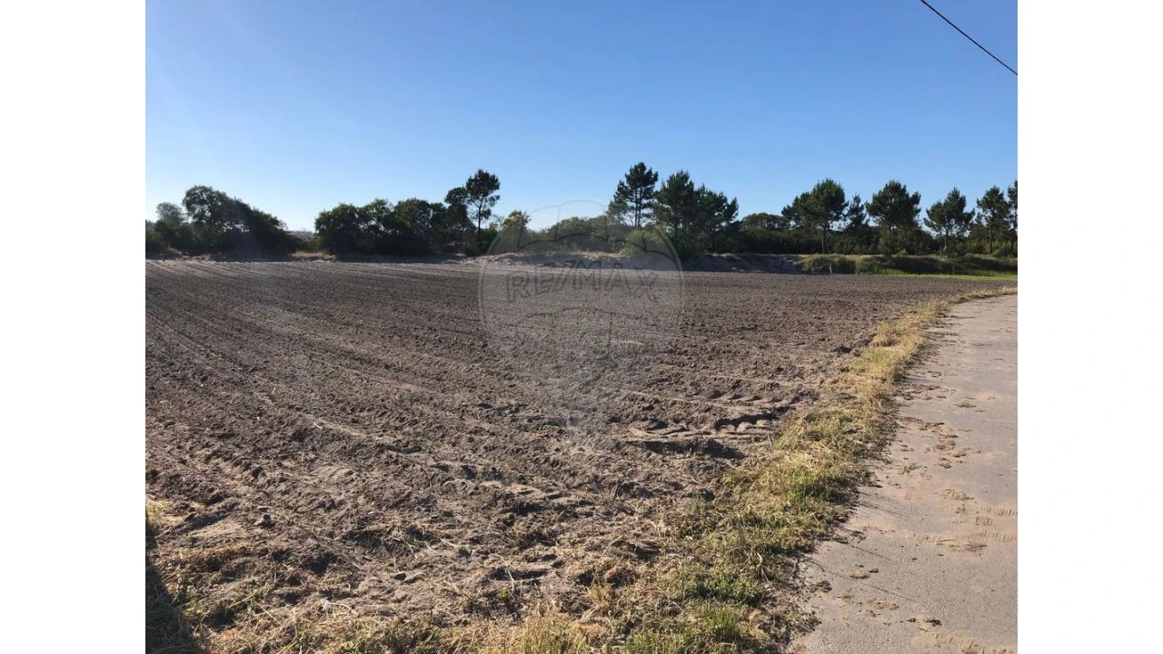 Terreno para Venda em Ovar, São João, Arada e São Vicente de Pereira Jusã Foto 9