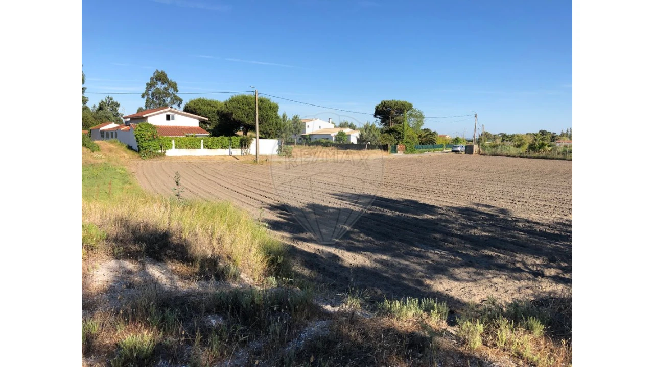 Terreno para Venda em Ovar, São João, Arada e São Vicente de Pereira Jusã Foto 2