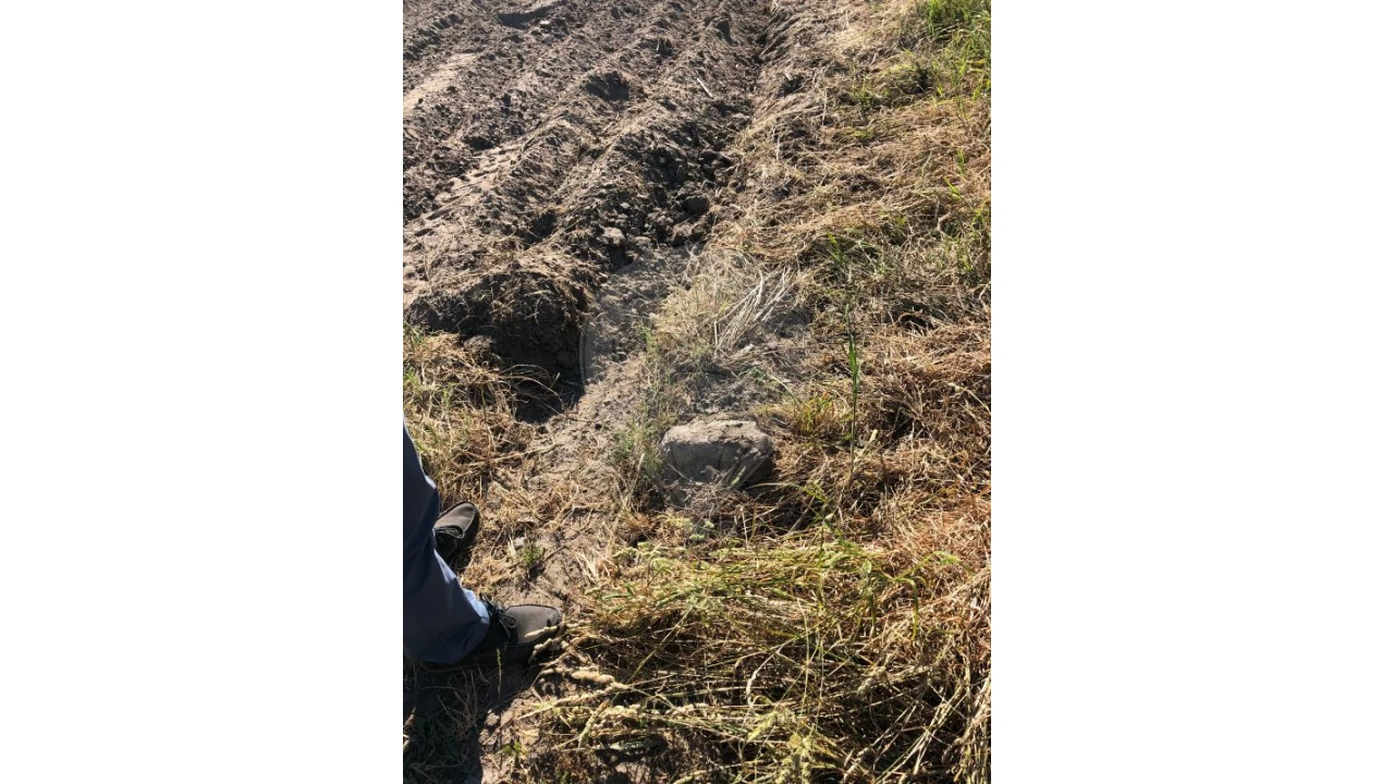 Terreno para Venda em Ovar, São João, Arada e São Vicente de Pereira Jusã Foto 5