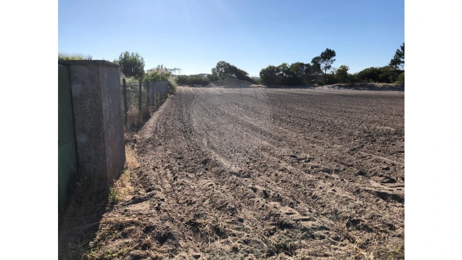 Terreno para Venda em Ovar, São João, Arada e São Vicente de Pereira Jusã Foto 6
