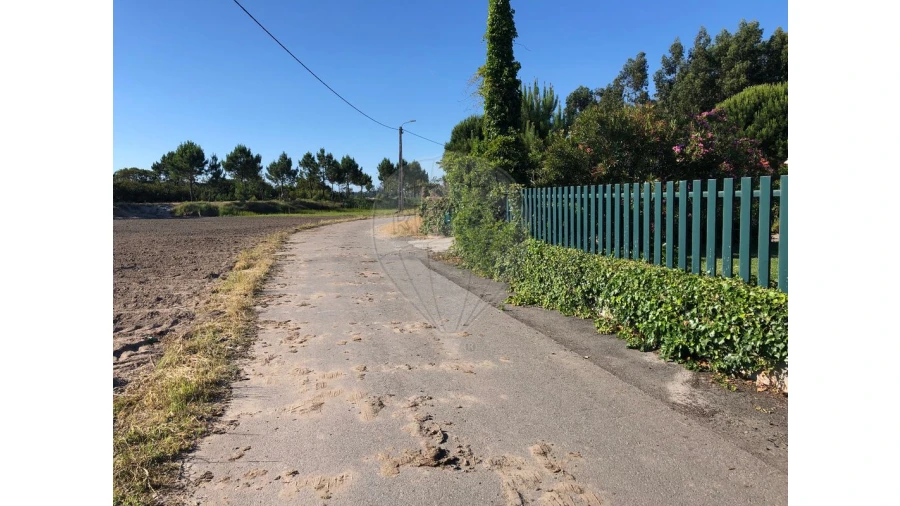 Terreno para Venda em Ovar, São João, Arada e São Vicente de Pereira Jusã Foto 8