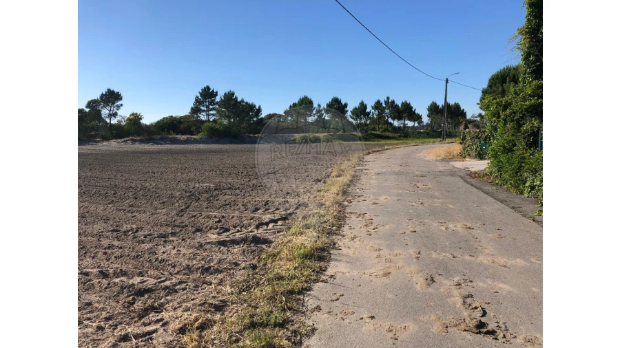 Terreno para Venda em Ovar, São João, Arada e São Vicente de Pereira Jusã Foto 7