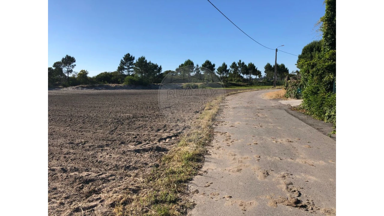 Terreno para Venda em Ovar, São João, Arada e São Vicente de Pereira Jusã Foto 7