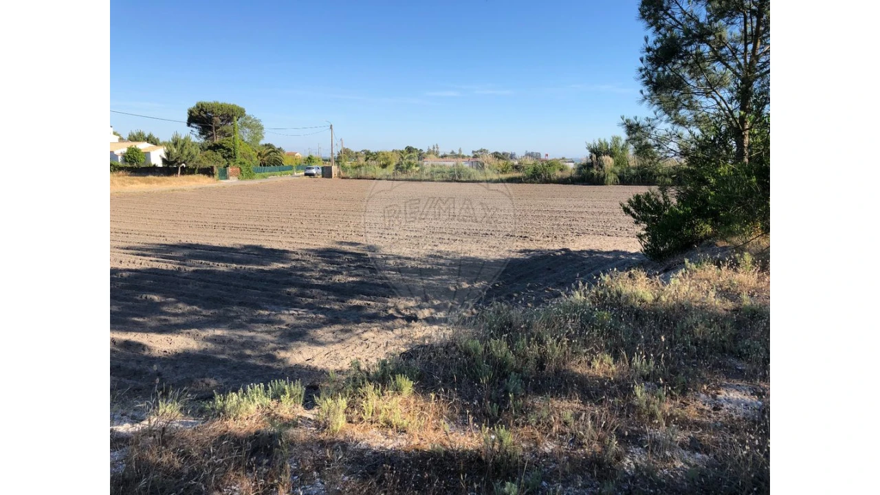 Terreno para Venda em Ovar, São João, Arada e São Vicente de Pereira Jusã Foto 1