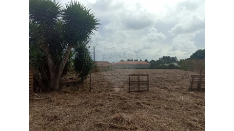 Terreno para Venda em Valega