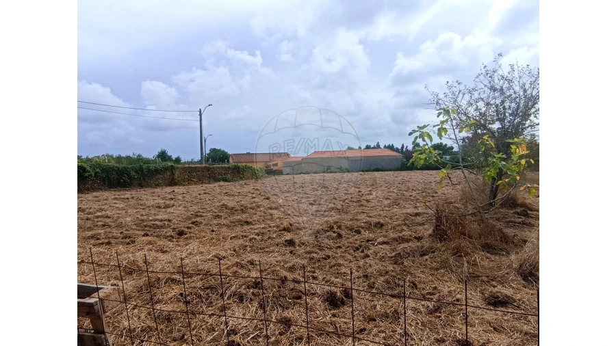 Terreno para Venda em Valega Foto 3