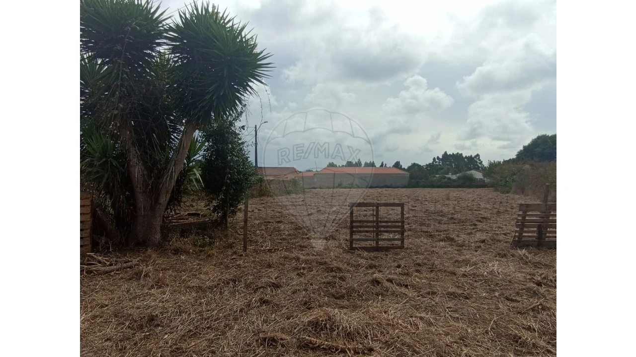 Terreno para Venda em Valega Foto 2