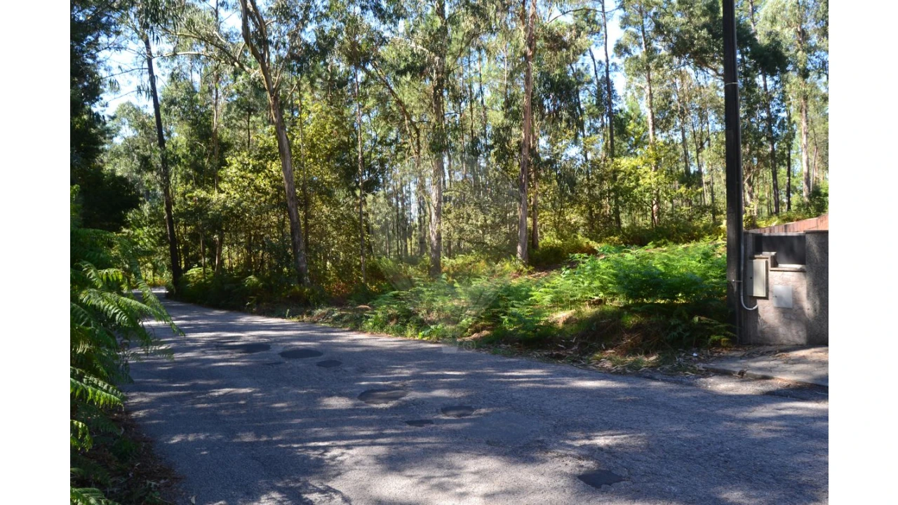 Terreno para Venda em Ovar, São João, Arada e São Vicente de Pereira Jusã Foto 16