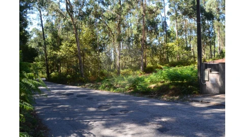 Terreno para Venda em Ovar, São João, Arada e São Vicente de Pereira Jusã