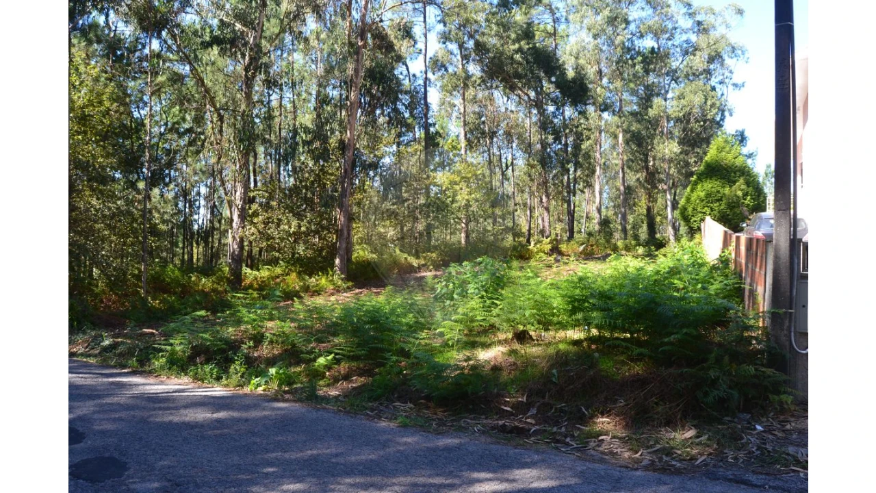 Terreno para Venda em Ovar, São João, Arada e São Vicente de Pereira Jusã Foto 9