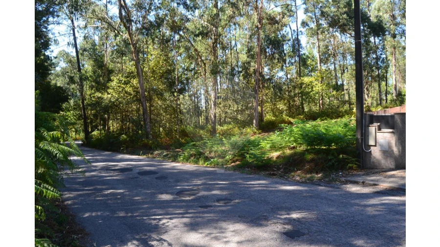 Terreno para Venda em Ovar, São João, Arada e São Vicente de Pereira Jusã Foto 16