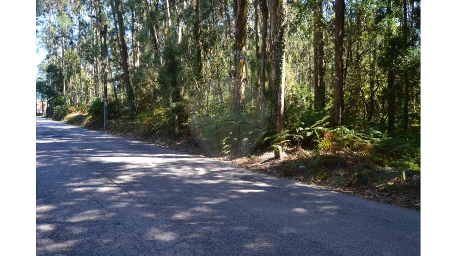 Terreno para Venda em Ovar, São João, Arada e São Vicente de Pereira Jusã Foto 12