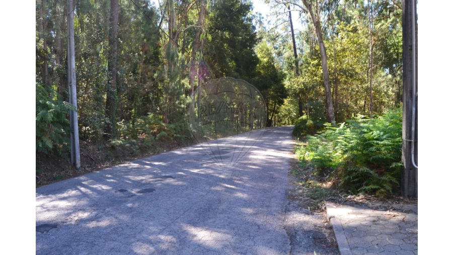 Terreno para Venda em Ovar, São João, Arada e São Vicente de Pereira Jusã Foto 5