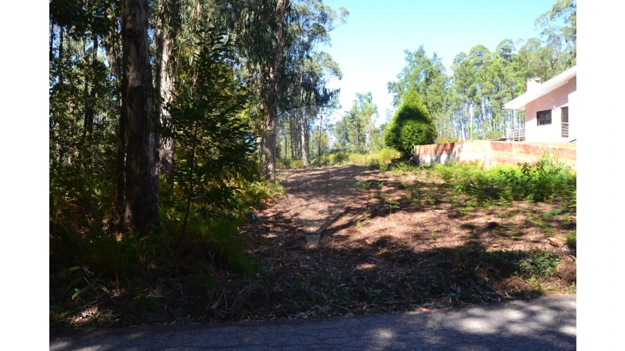 Terreno para Venda em Ovar, São João, Arada e São Vicente de Pereira Jusã Foto 15