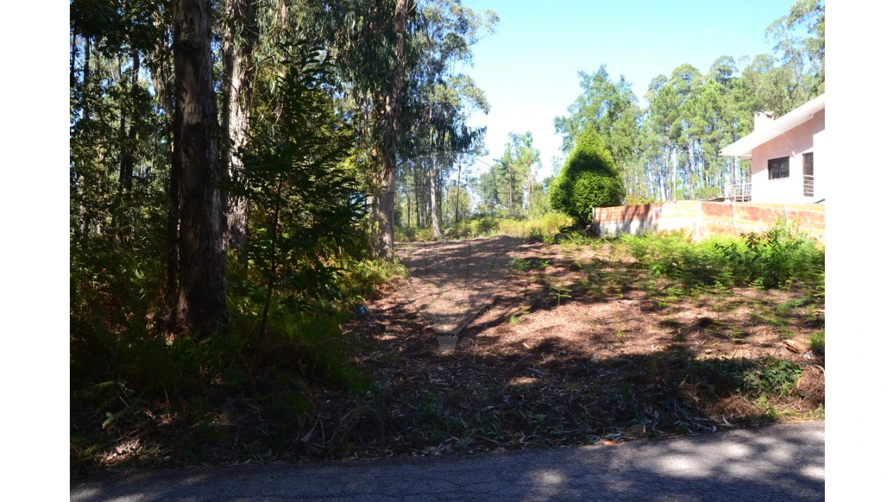 Terreno para Venda em Ovar, São João, Arada e São Vicente de Pereira Jusã Foto 15