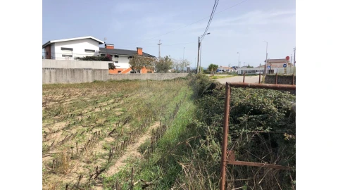 Terreno para Venda em Ovar, São João, Arada e São Vicente de Pereira Jusã