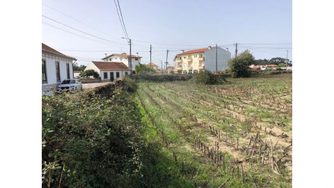 Terreno para Venda em Ovar, São João, Arada e São Vicente de Pereira Jusã