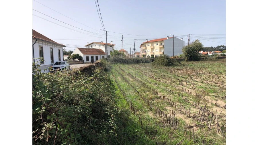 Terreno para Venda em Ovar, São João, Arada e São Vicente de Pereira Jusã Foto 7