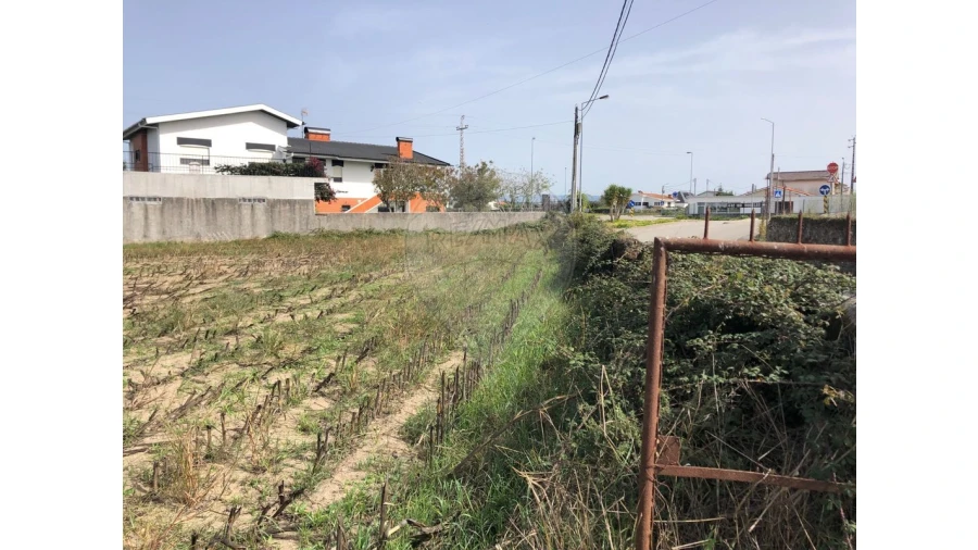 Terreno para Venda em Ovar, São João, Arada e São Vicente de Pereira Jusã Foto 2