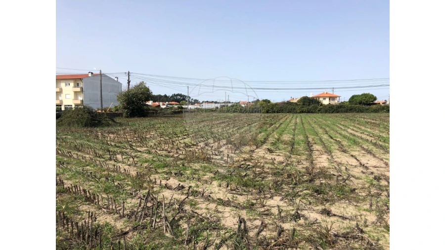 Terreno para Venda em Ovar, São João, Arada e São Vicente de Pereira Jusã Foto 5