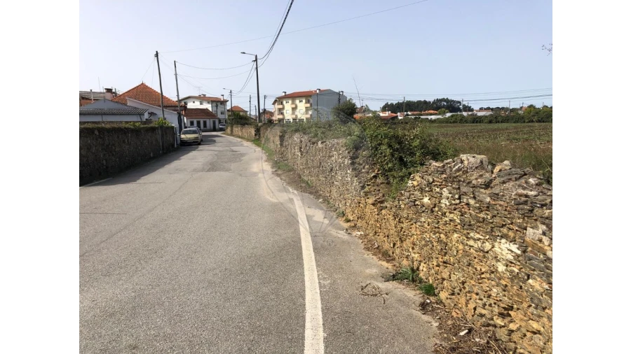 Terreno para Venda em Ovar, São João, Arada e São Vicente de Pereira Jusã Foto 17