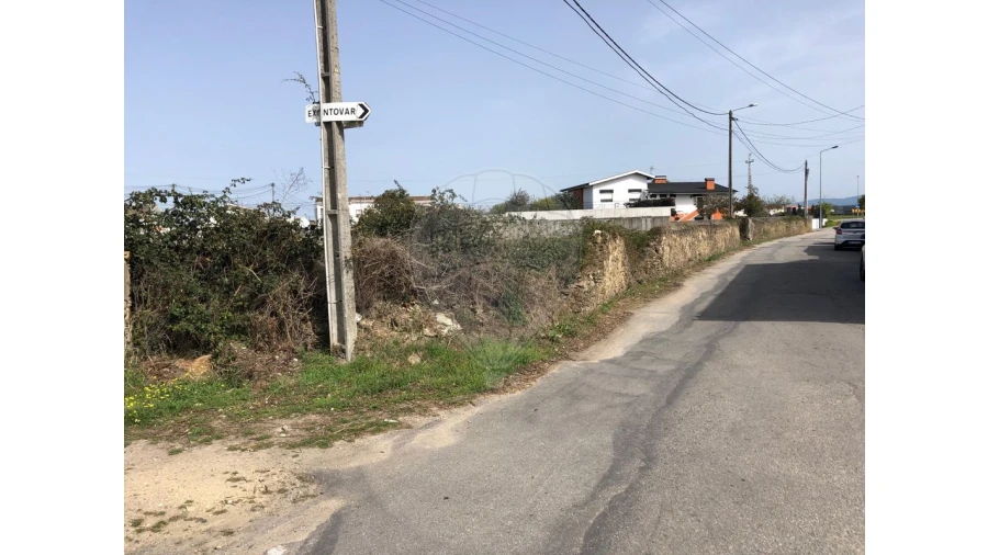 Terreno para Venda em Ovar, São João, Arada e São Vicente de Pereira Jusã Foto 13