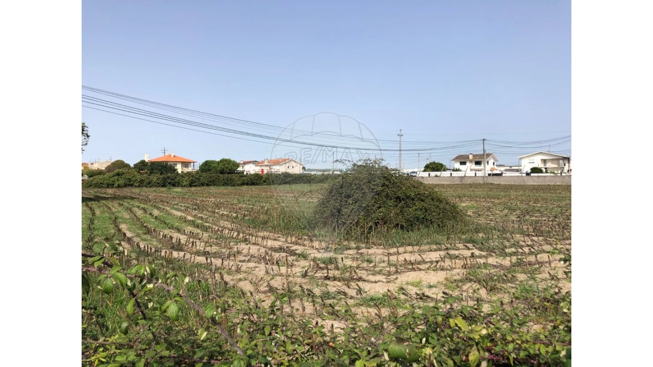 Terreno para Venda em Ovar, São João, Arada e São Vicente de Pereira Jusã Foto 14