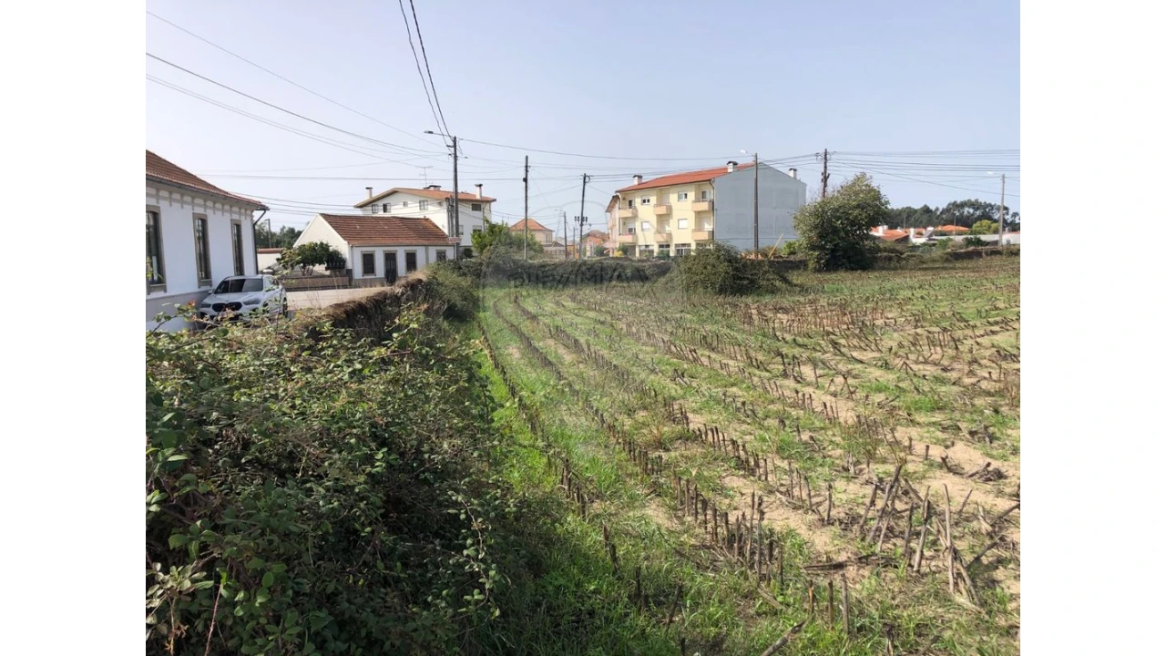 Terreno para Venda em Ovar, São João, Arada e São Vicente de Pereira Jusã Foto 10