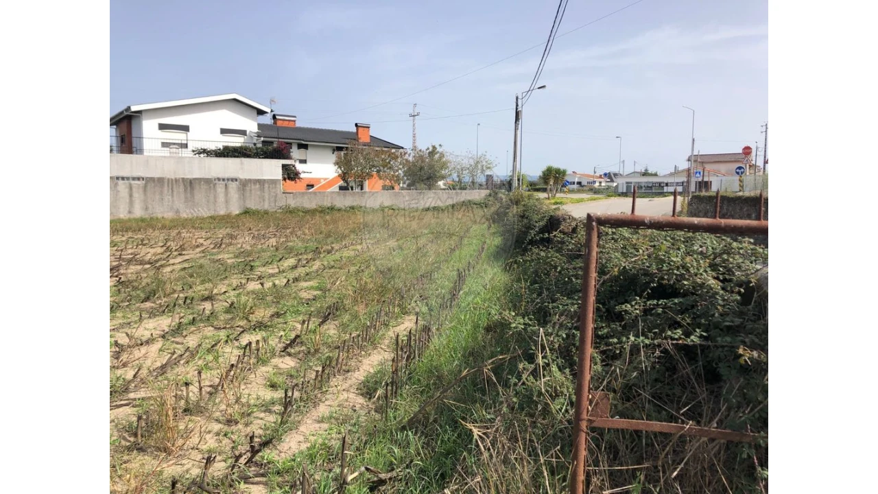 Terreno para Venda em Ovar, São João, Arada e São Vicente de Pereira Jusã Foto 2