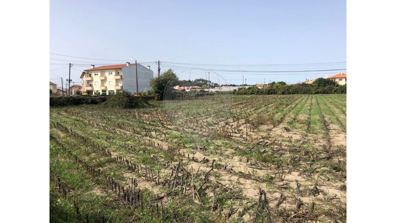 Terreno para Venda em Ovar, São João, Arada e São Vicente de Pereira Jusã Foto 6