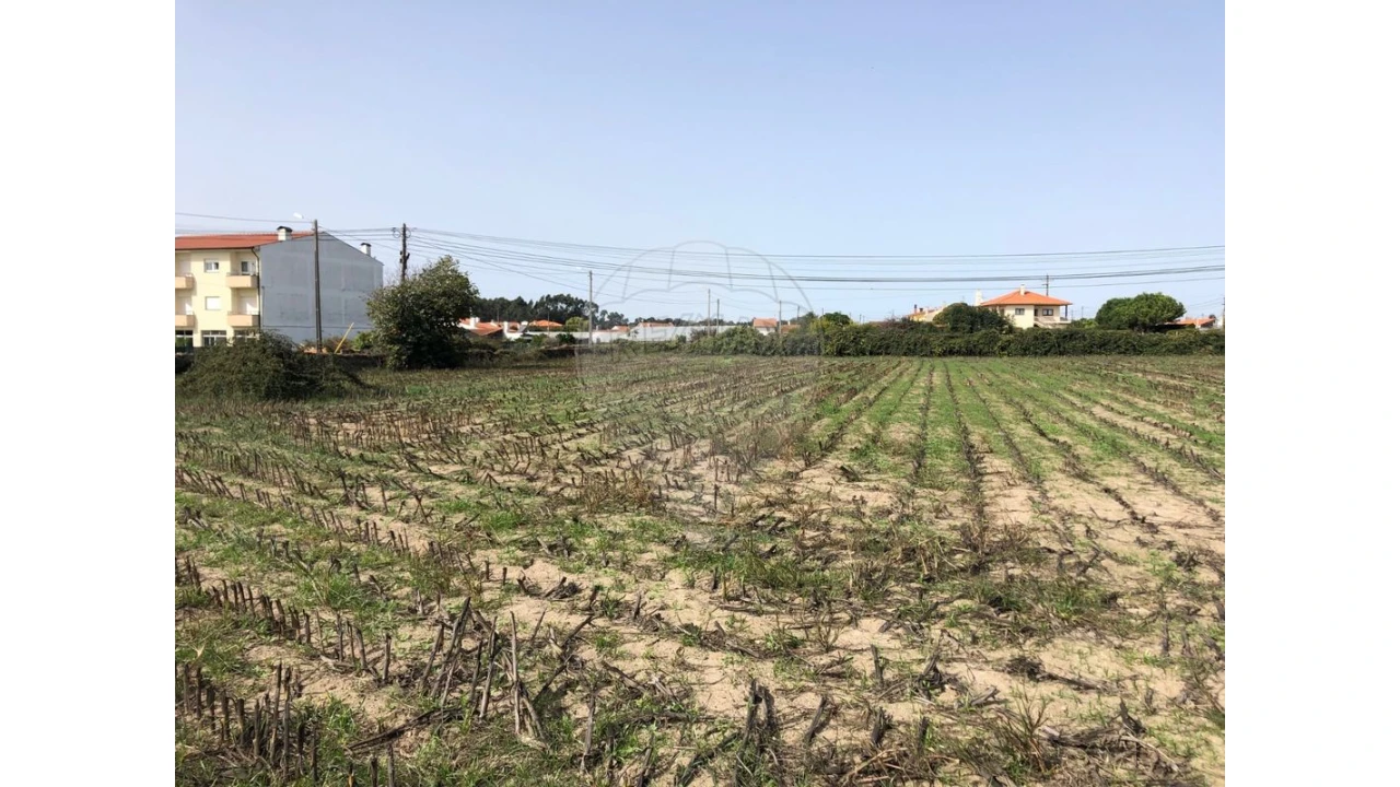 Terreno para Venda em Ovar, São João, Arada e São Vicente de Pereira Jusã Foto 5