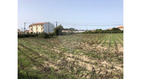 Terreno para Venda em Ovar, São João, Arada e São Vicente de Pereira Jusã
