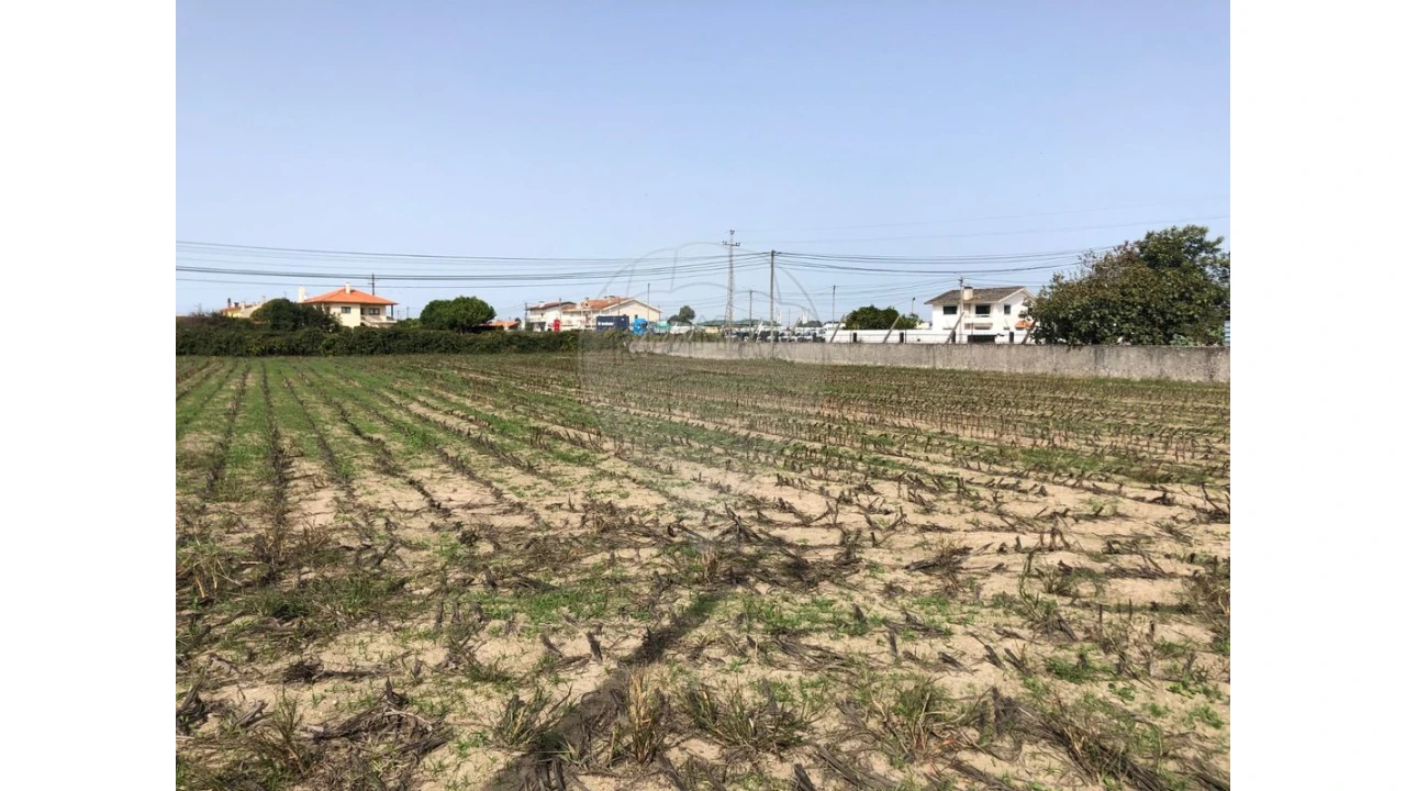 Terreno para Venda em Ovar, São João, Arada e São Vicente de Pereira Jusã Foto 4