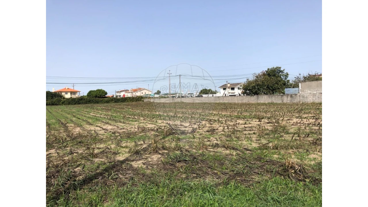 Terreno para Venda em Ovar, São João, Arada e São Vicente de Pereira Jusã Foto 1