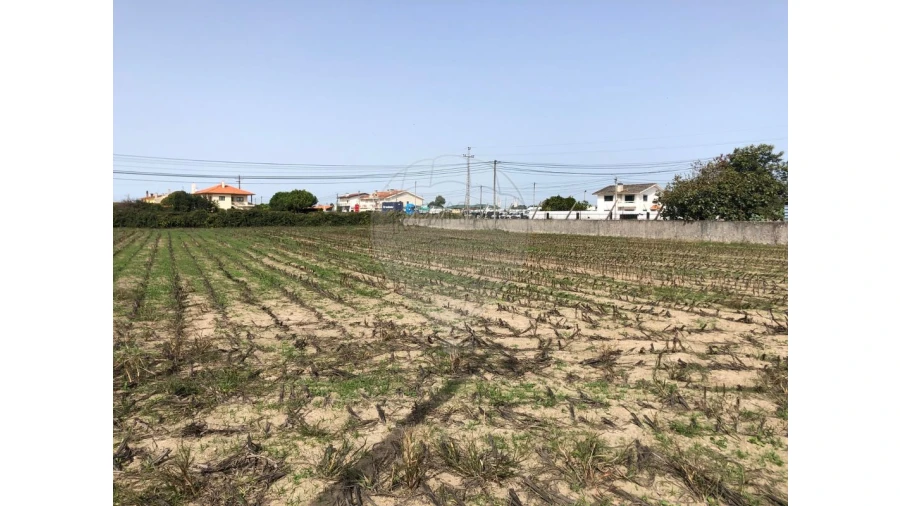 Terreno para Venda em Ovar, São João, Arada e São Vicente de Pereira Jusã Foto 4