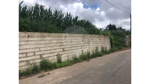 Terreno para Venda em Avanca