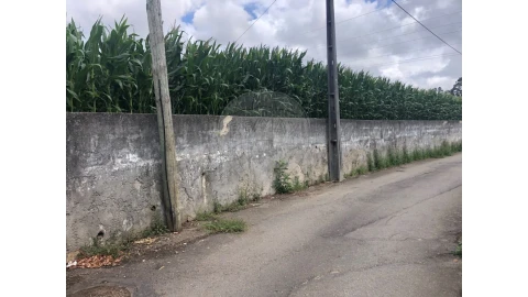 Terreno para Venda em Avanca