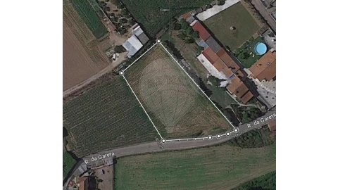 Terreno para Venda em Avanca