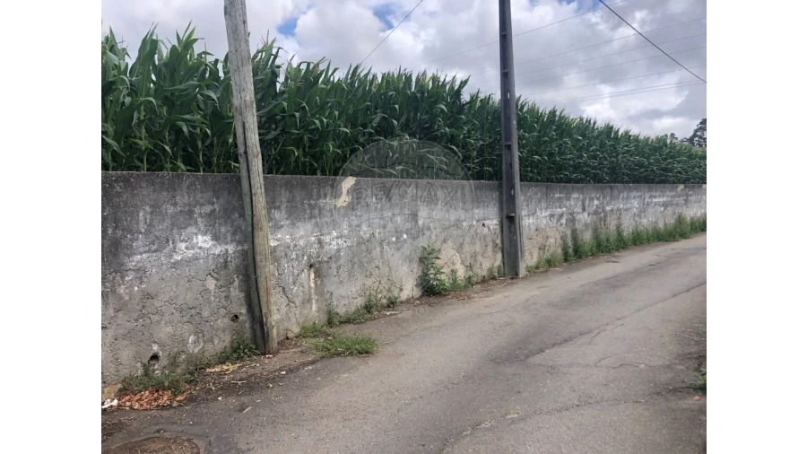 Terreno para Venda em Avanca