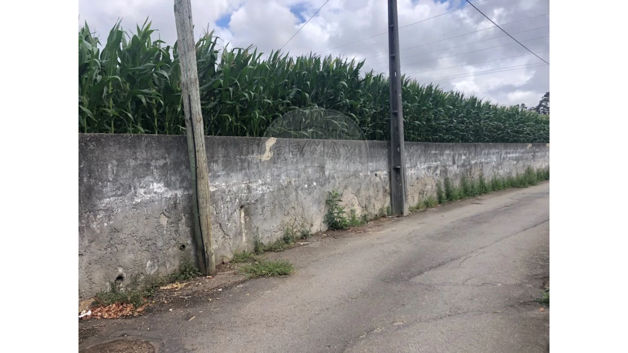 Terreno para Venda em Avanca Foto 1