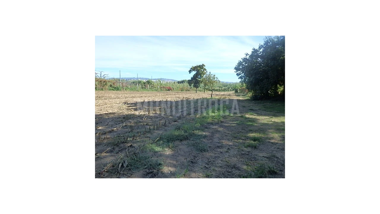 Quinta para Venda em Merelim (São Pedro) e Frossos Foto 7