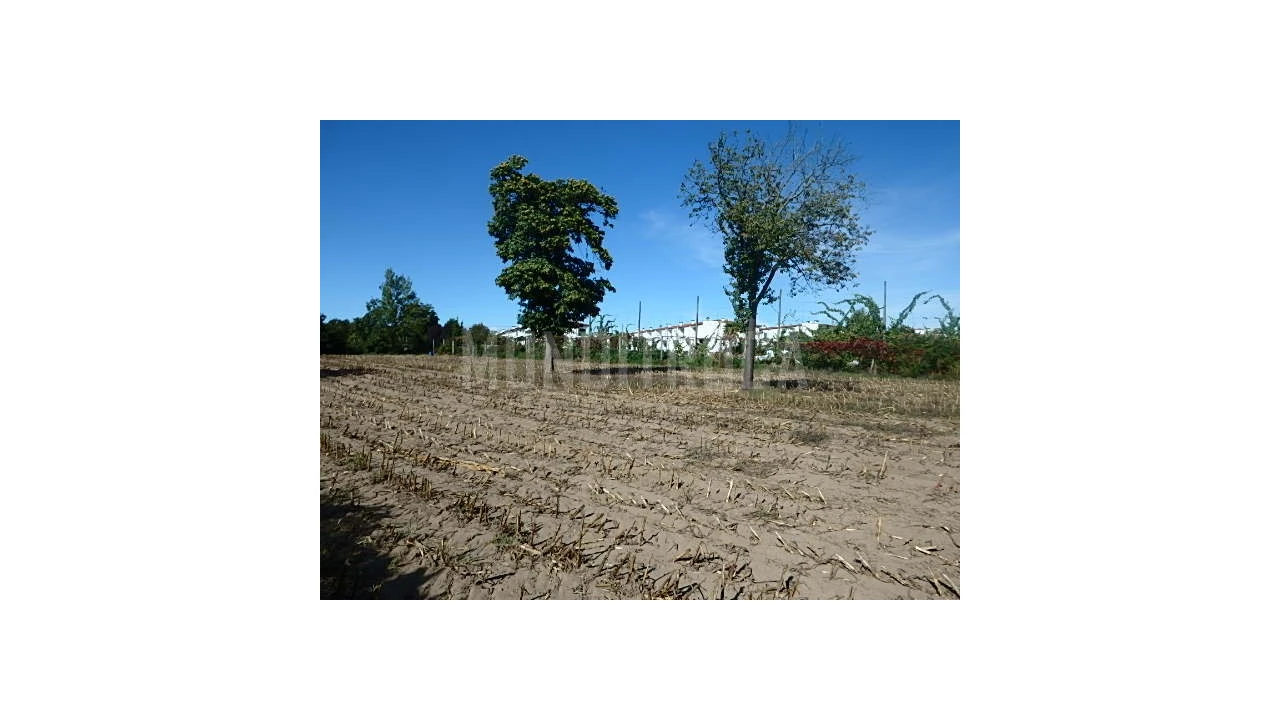 Quinta para Venda em Merelim (São Pedro) e Frossos Foto 8