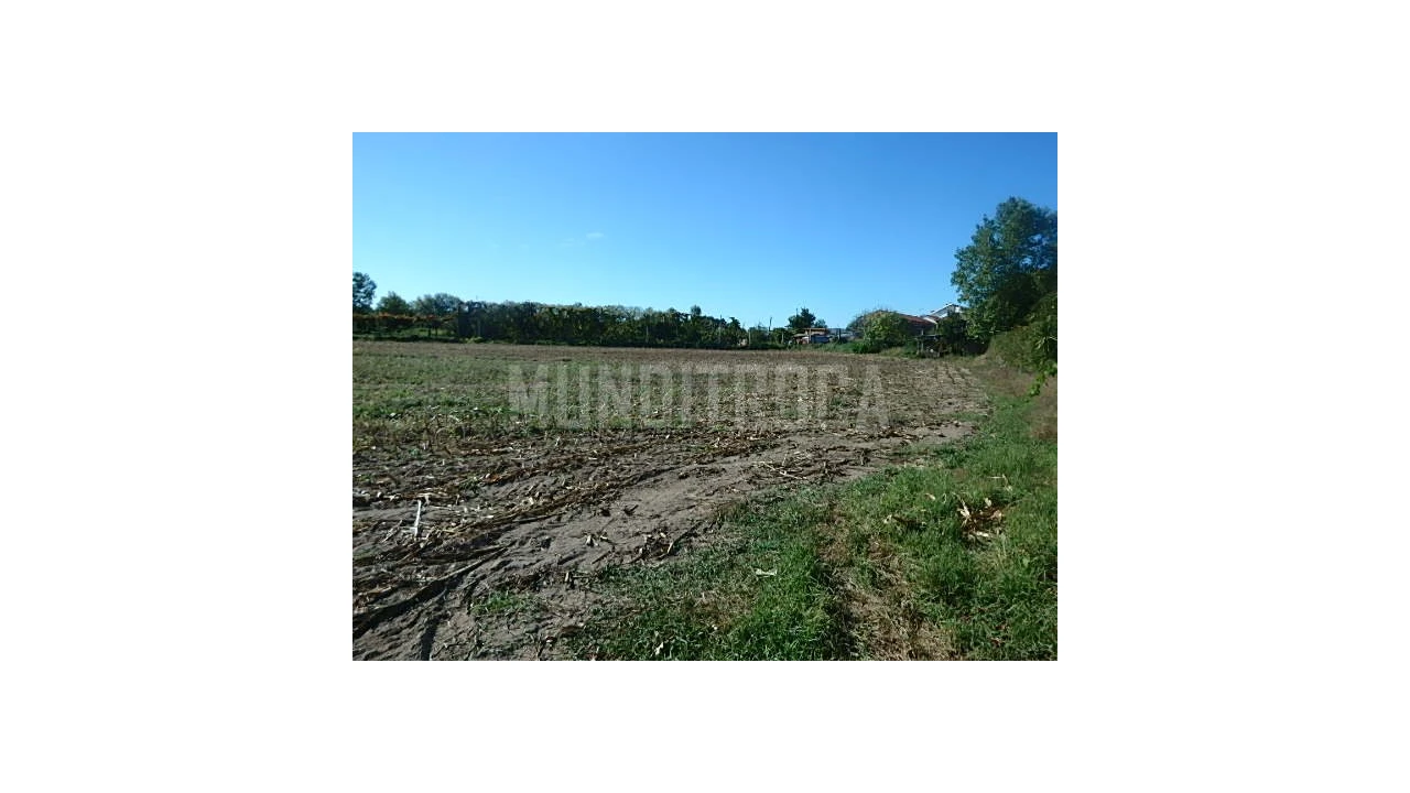 Quinta para Venda em Merelim (São Pedro) e Frossos Foto 9