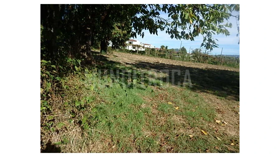 Quinta para Venda em Merelim (São Pedro) e Frossos Foto 4