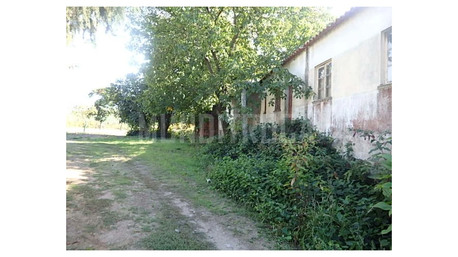 Quinta para Venda em Merelim (São Pedro) e Frossos Foto 5