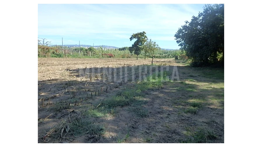 Quinta para Venda em Merelim (São Pedro) e Frossos Foto 7